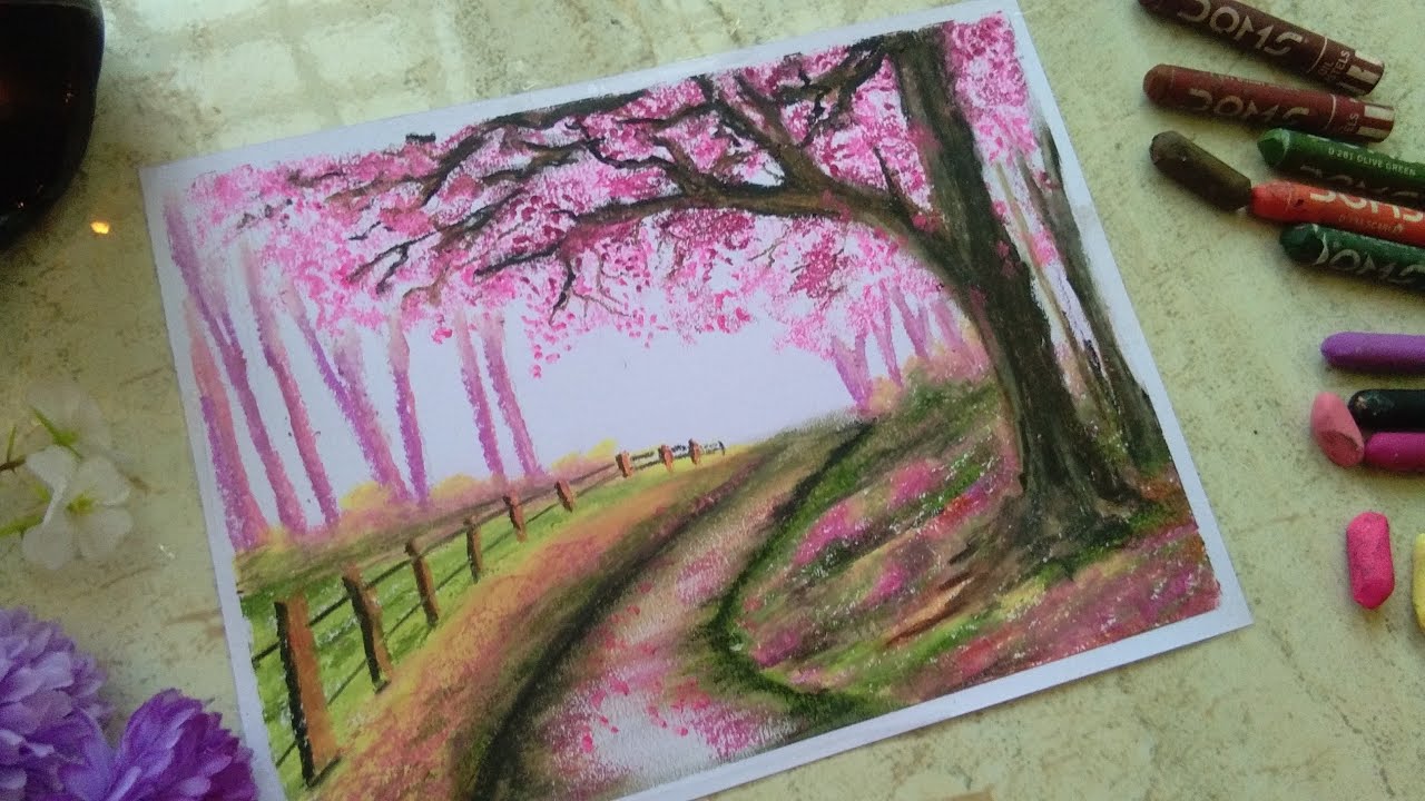 ♡  cherry blossom 2 🌺 oil pastel drawing