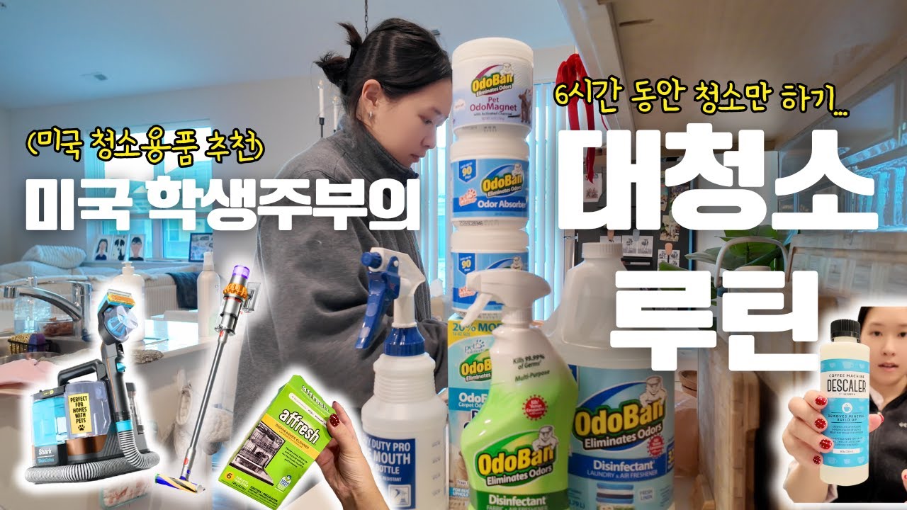 [🇺🇸] 24세 학생주부의 6시간 대청소 루틴🧽 미국 청소용품 추천 |Shark StrainStriker 얼룩제거용 청소기 추천 | 강아지 두마리와 사는 주부의 청소용품