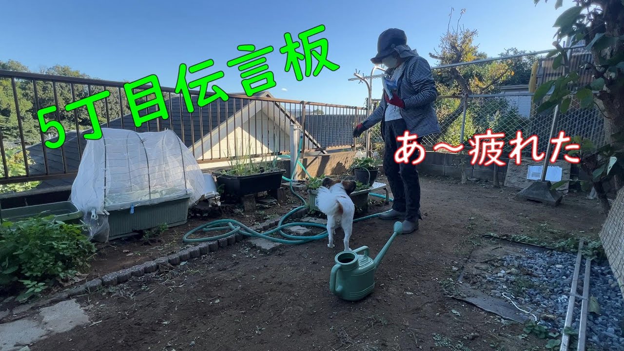 【後期高齢者の生活】年齢重ねる度に体力が落ちているな～と実感します。