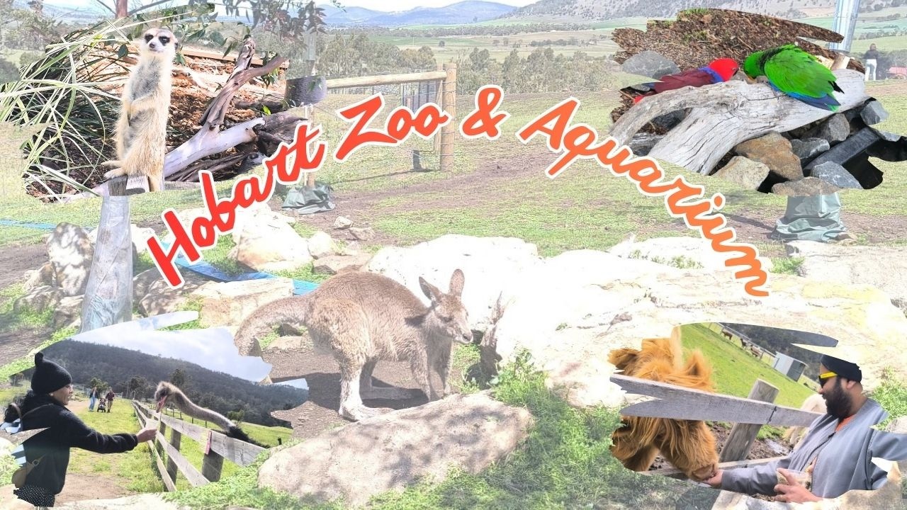 Exploring Hobart Zoo & Aquarium 🦘🦚🦜 | Tasmania | Family Day Out Vlog | KOUSHIK AND ALEKHYA 😍🧿 |