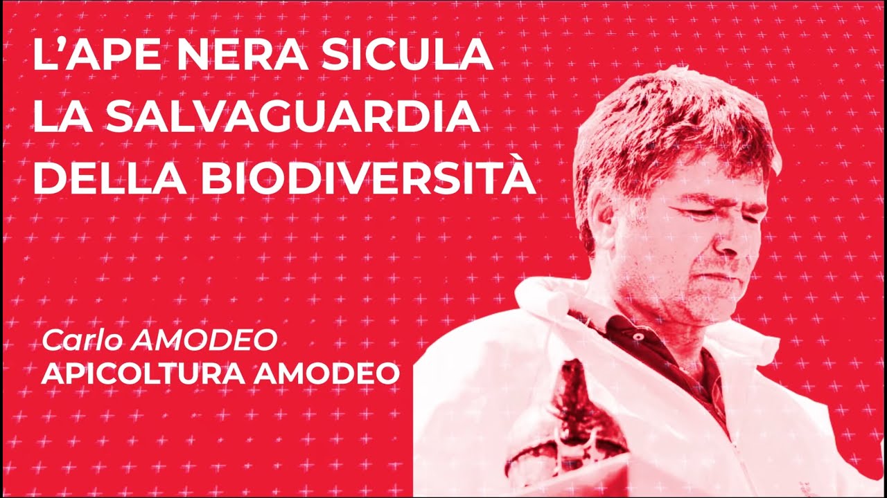 Carlo Amodeo: L'ape nera sicula, la salvaguardia della biodiversità - Sessione 1