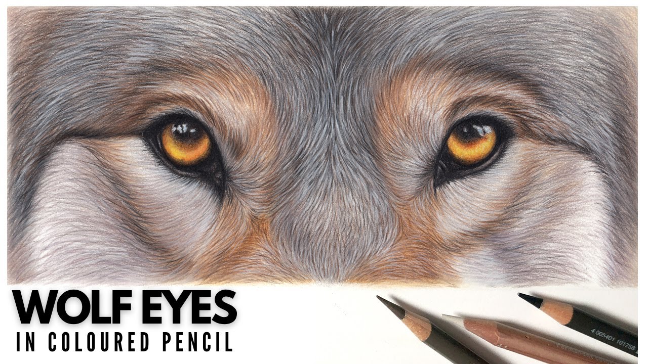 Drawing Wolf Eyes in Colored Pencil | Realistic Pencil Drawing