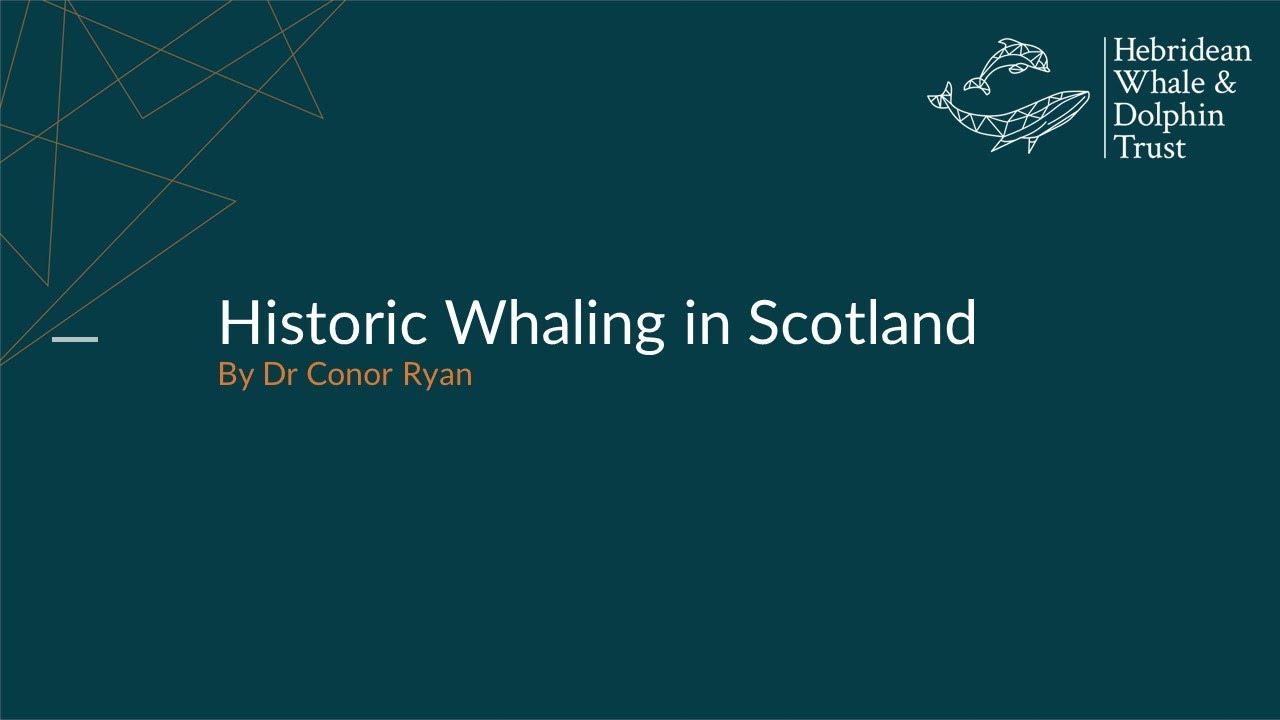 Historic Whaling in Scotland