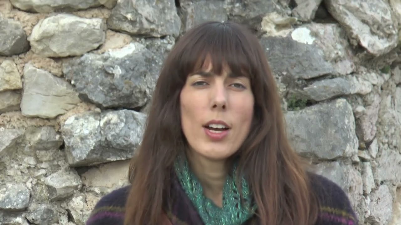 BADANJ     TEA ROSIĆ     2 12 2016