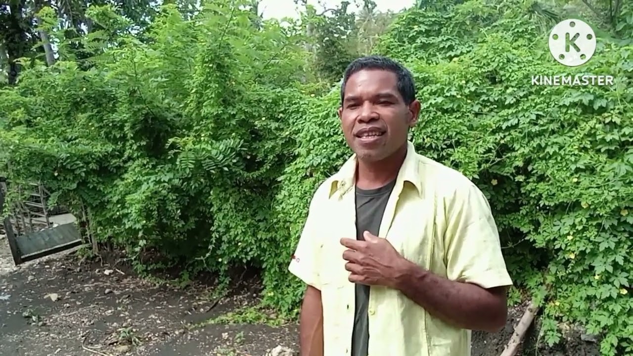 @USANAB KO LASI SA,,CIP/VOC: GORIS TAELA,,LAGU DAWAN QIJOMBA. 