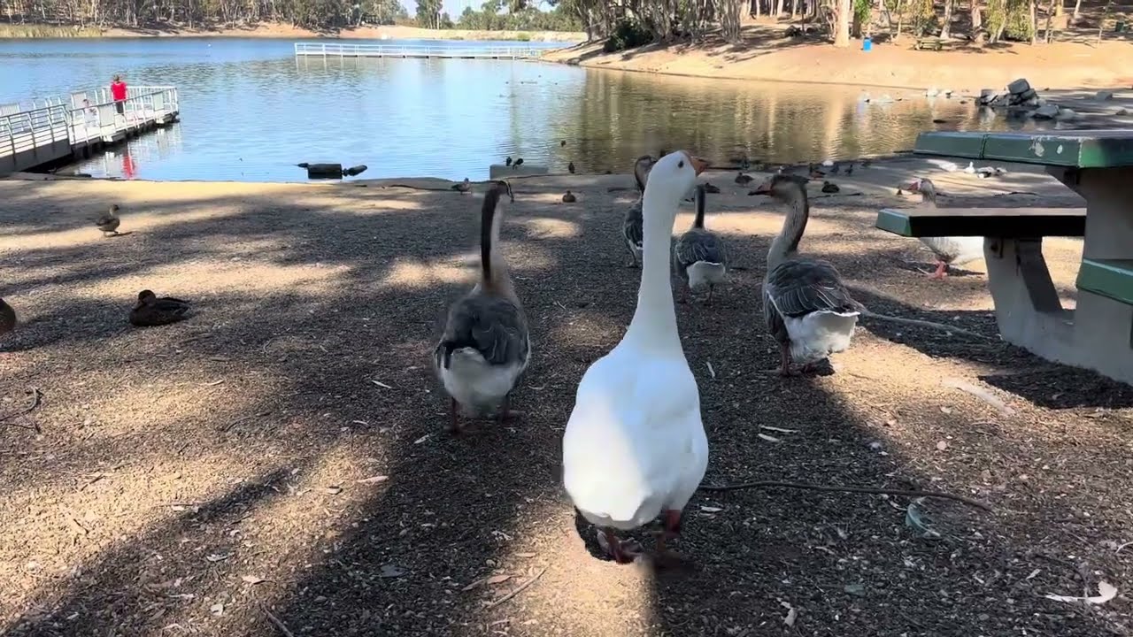 Chollas Lake, San Diego