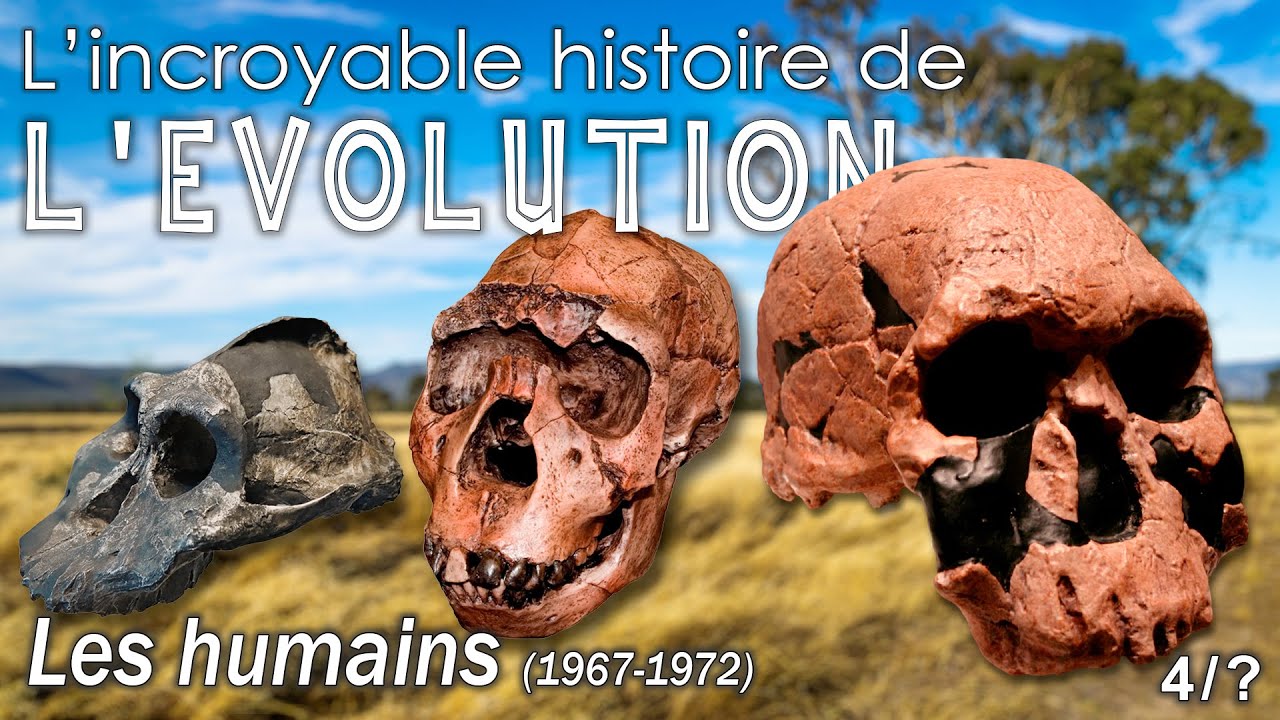 Aux origines des humains - Ep. 4 - Évolution de l'homme - Les découvertes  entre 1967 et 1972 -
