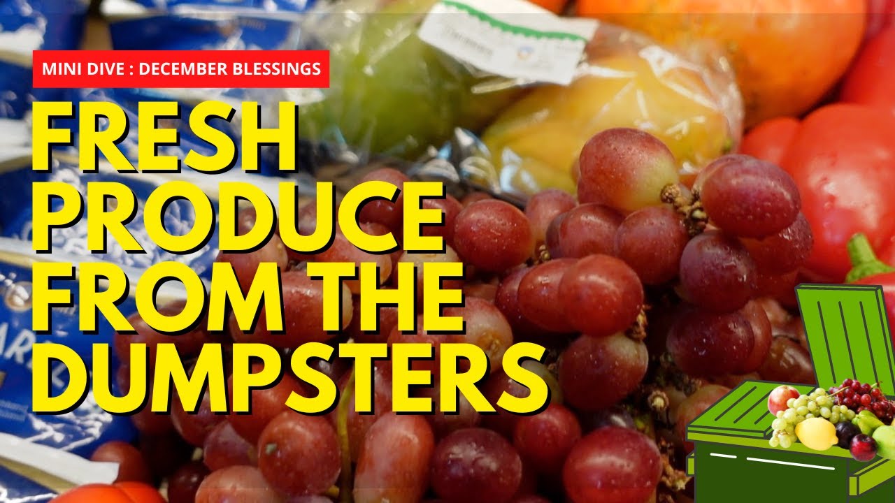Dumpster Diving (Germany) : MINI DIVE : FRESH PRODUCE FROM THE DUMPSTER