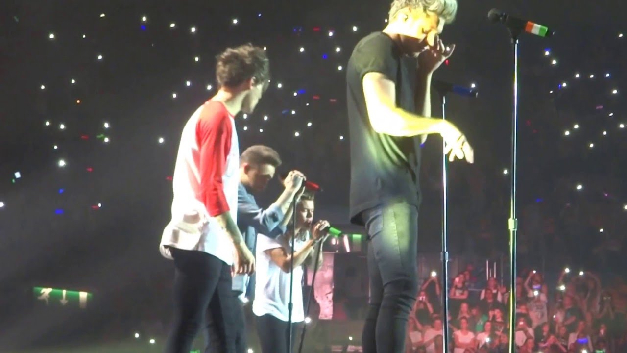 You and I (Louis centric) - One Direction : Birmingham 11.10.15