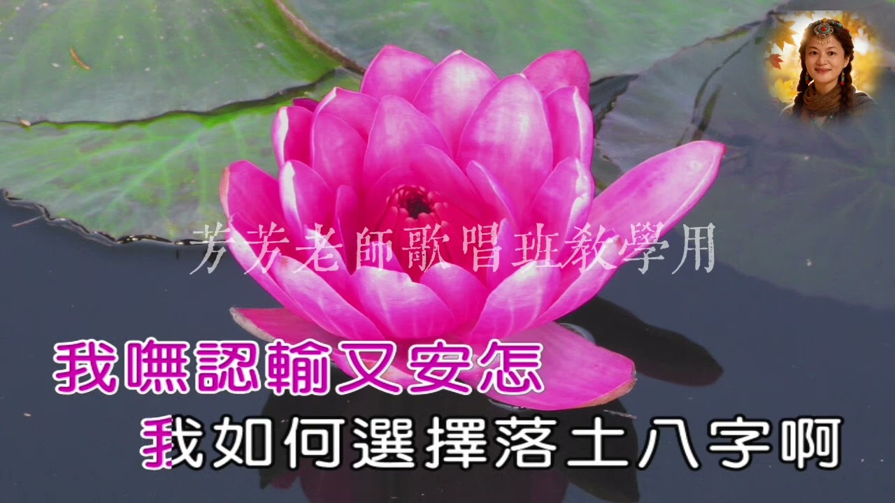 一人一款命-女調