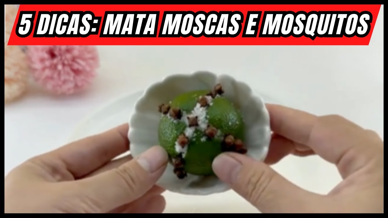 5 DICAS INFALÍVEIS PARA MANTER MOSCAS E MOSQUITOS LONGE DE CASA!
