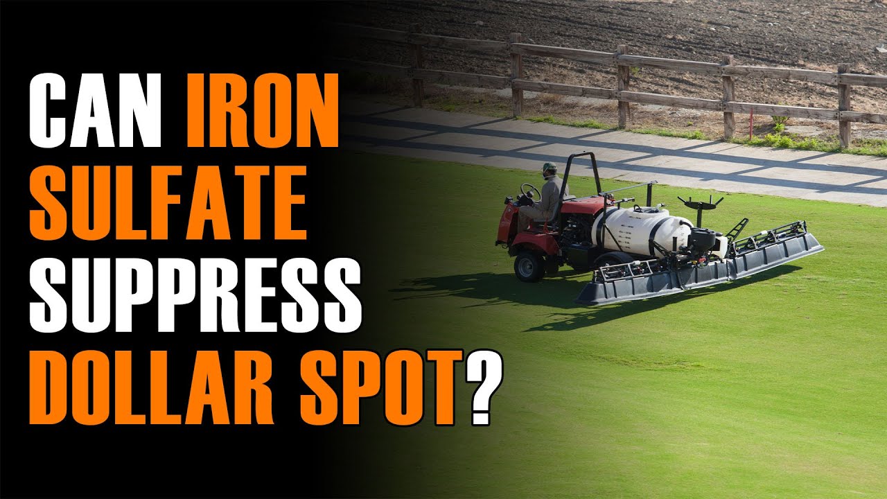 Iron Sulfate and Dollar Spot