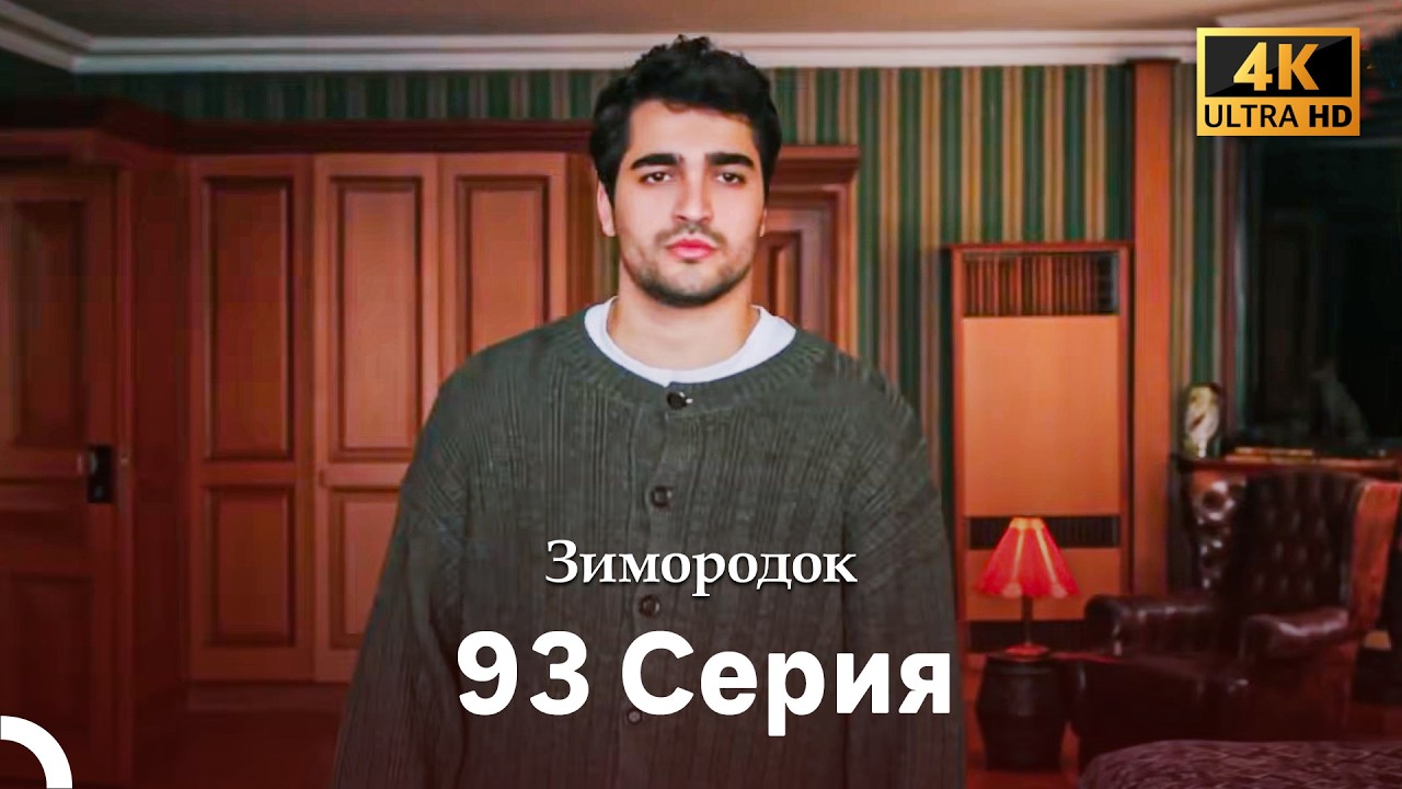 Зимородок 93 Cерия (Русский дубляж) (4K)