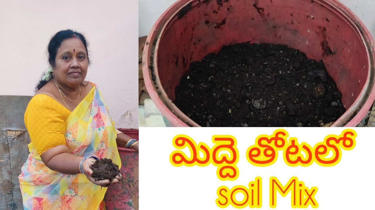 Soil Mix Making | Shankari Garden
