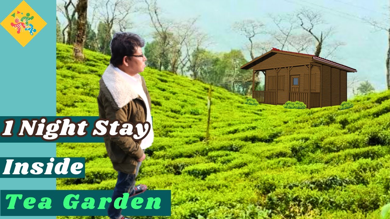 A~Z Information ~Totally OFFBEAT HERITAGE HOMESTAY (NORTH BENGAL)//Tips To Travel