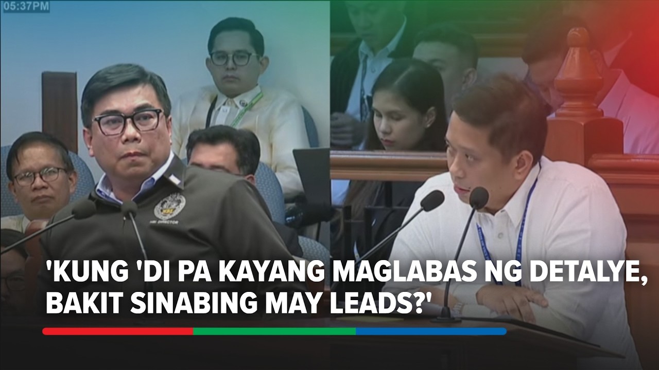 Vinluan questions why Matibag can't name persons of interest in probe of VP Sara's 'assassin'