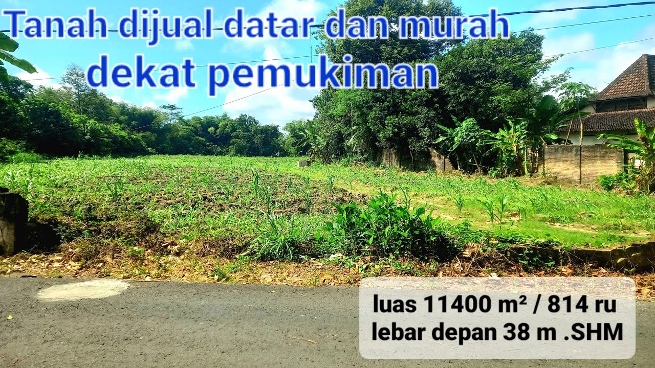 Tanah dijual datar dan murah dekat pemukiman ( 082194791760 )