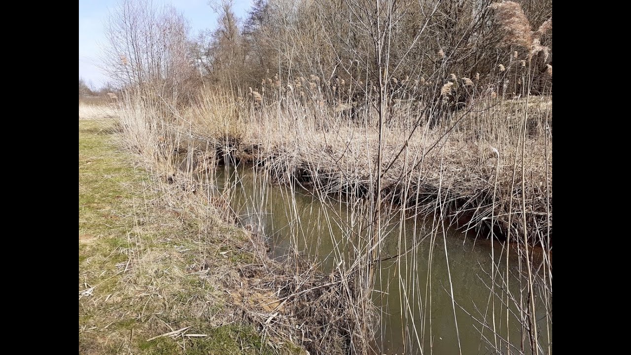Рыбалка в Германии. Река Фихтеноэ (Пегнитц, Бавария).