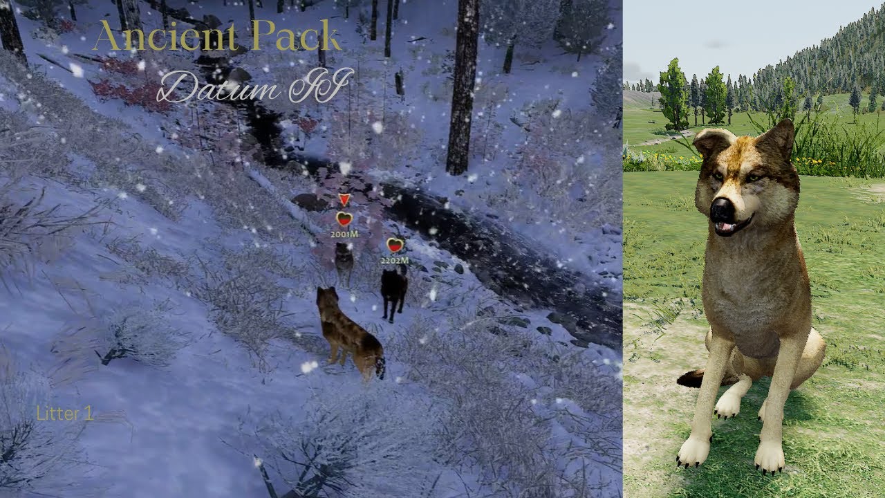 Ancient Pack - Datum II L1 - Territory/Raise Pups [WolfQuest Saga]
