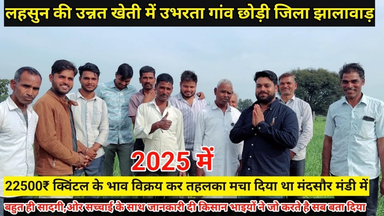 लहसुन की खेती ऐसे करे शानदार क्वालिटी और बंपर उत्पादन मिलेगा | Lahsun Ki Kheti | Garlic Farming