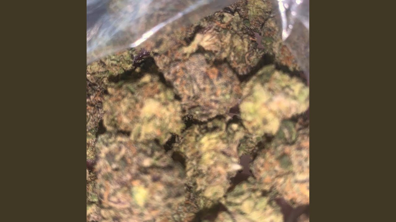 Gold In My Mouth