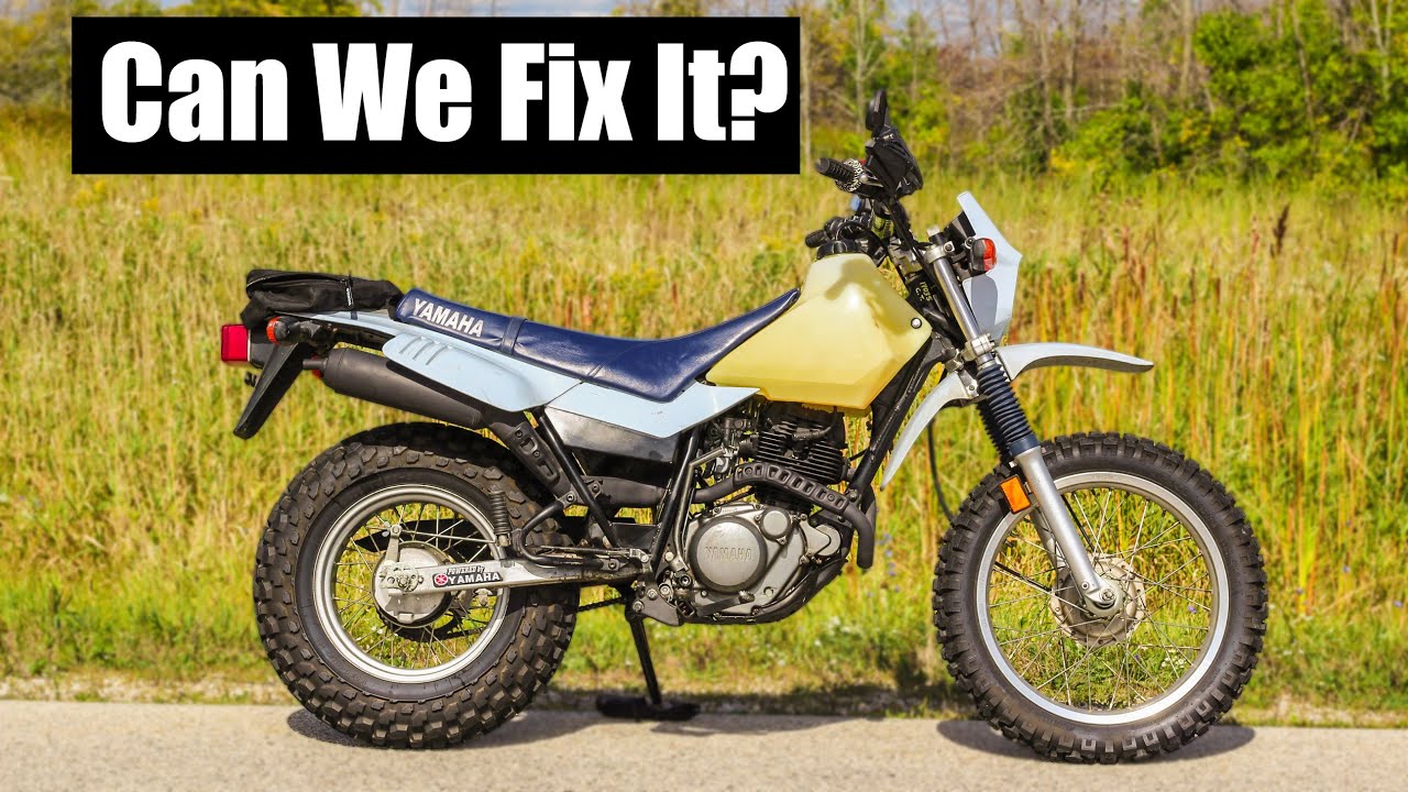 Will This Old Abandoned Yamaha Tw200 Run?