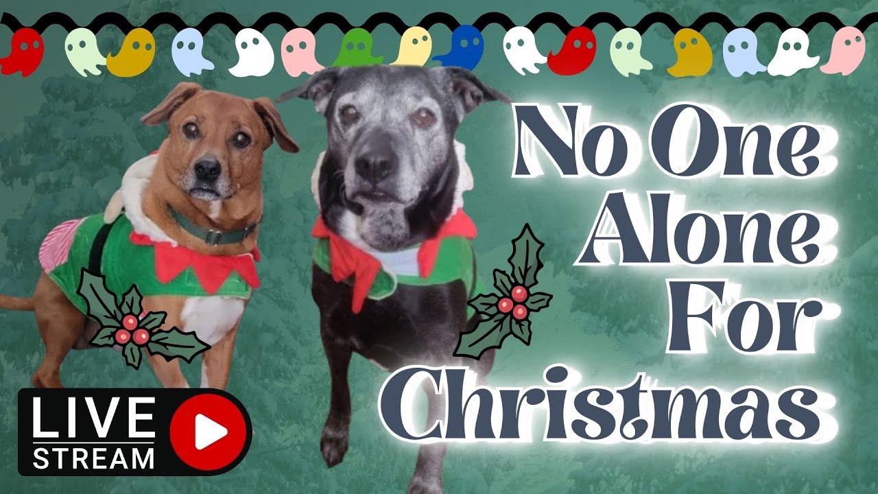 Yule Tides and Baddie Vibes| No One Alone for Christmas Livestream