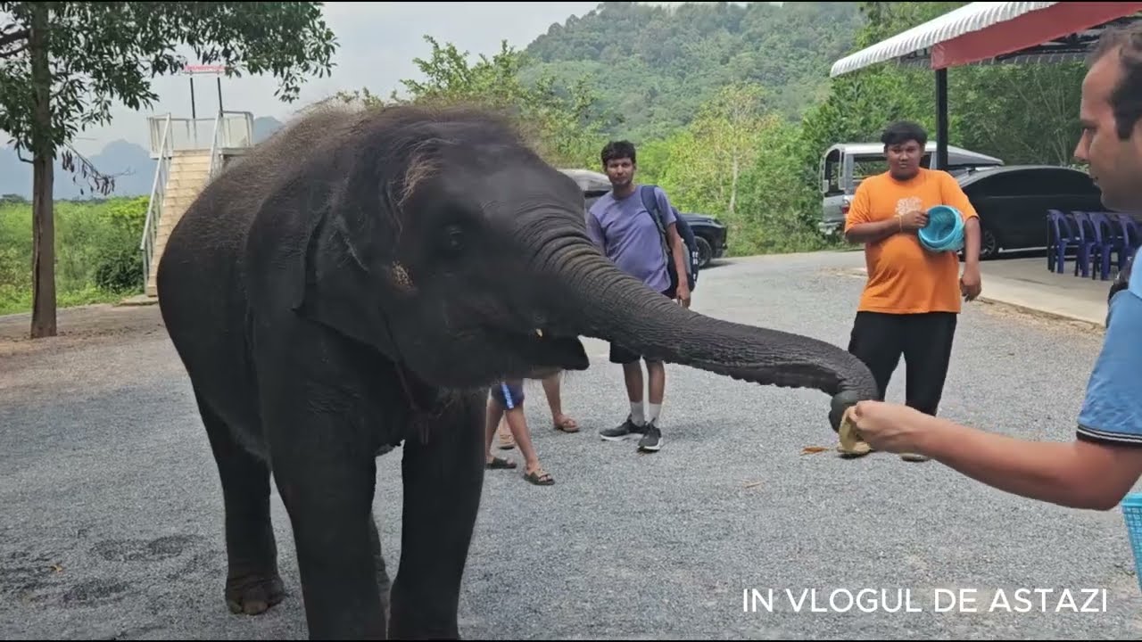 🇹🇭 Thailanda în 4 tururi 🌴 Aventură continuă în Phuket & Ao Nang