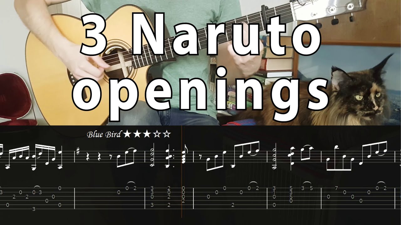 Silhouette | Blue Bird | Hotaru no Hikari - Naruto guitar + tabs