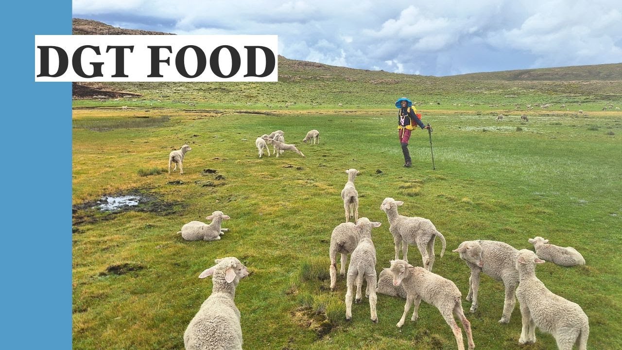 Food for the Drakensberg Grand Traverse