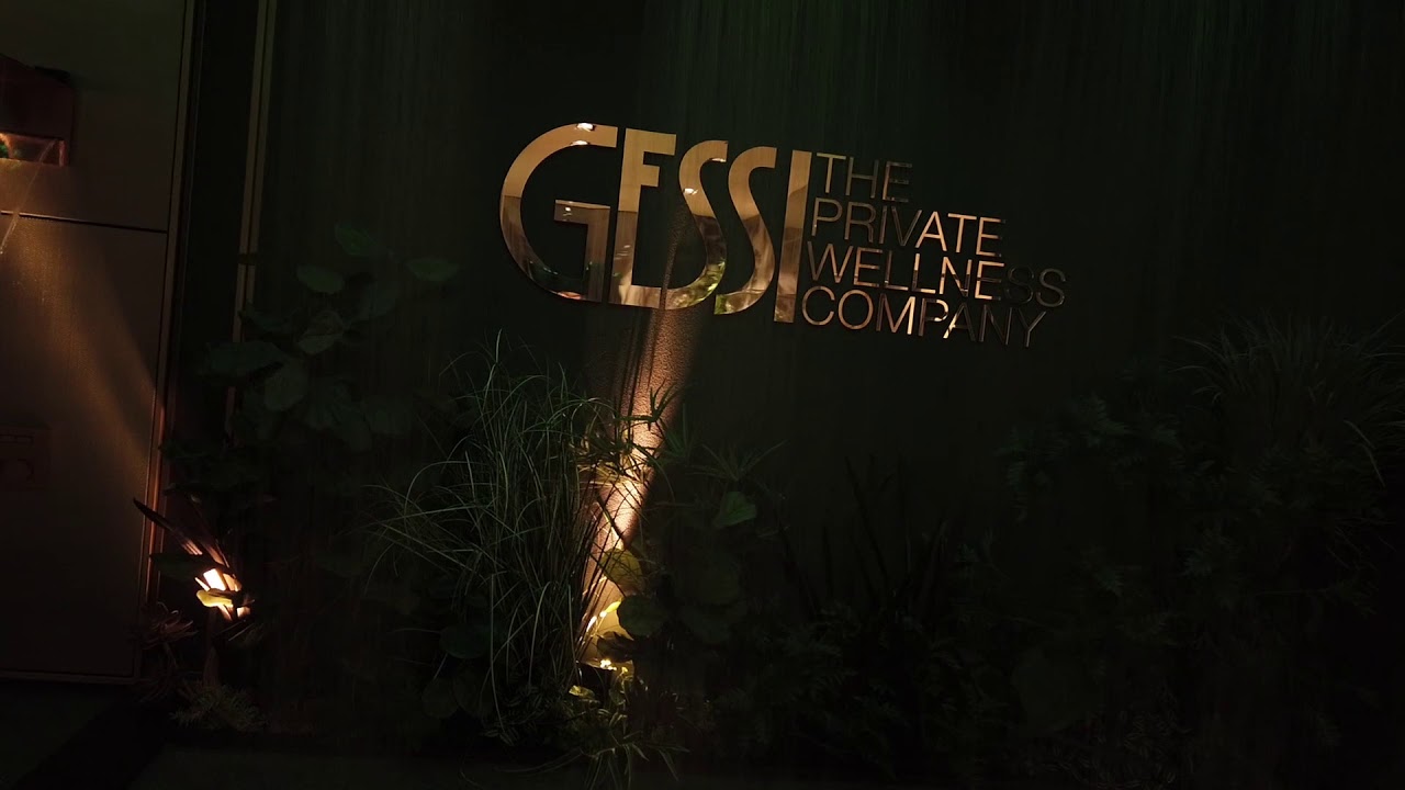 GESSI ISH 2019
