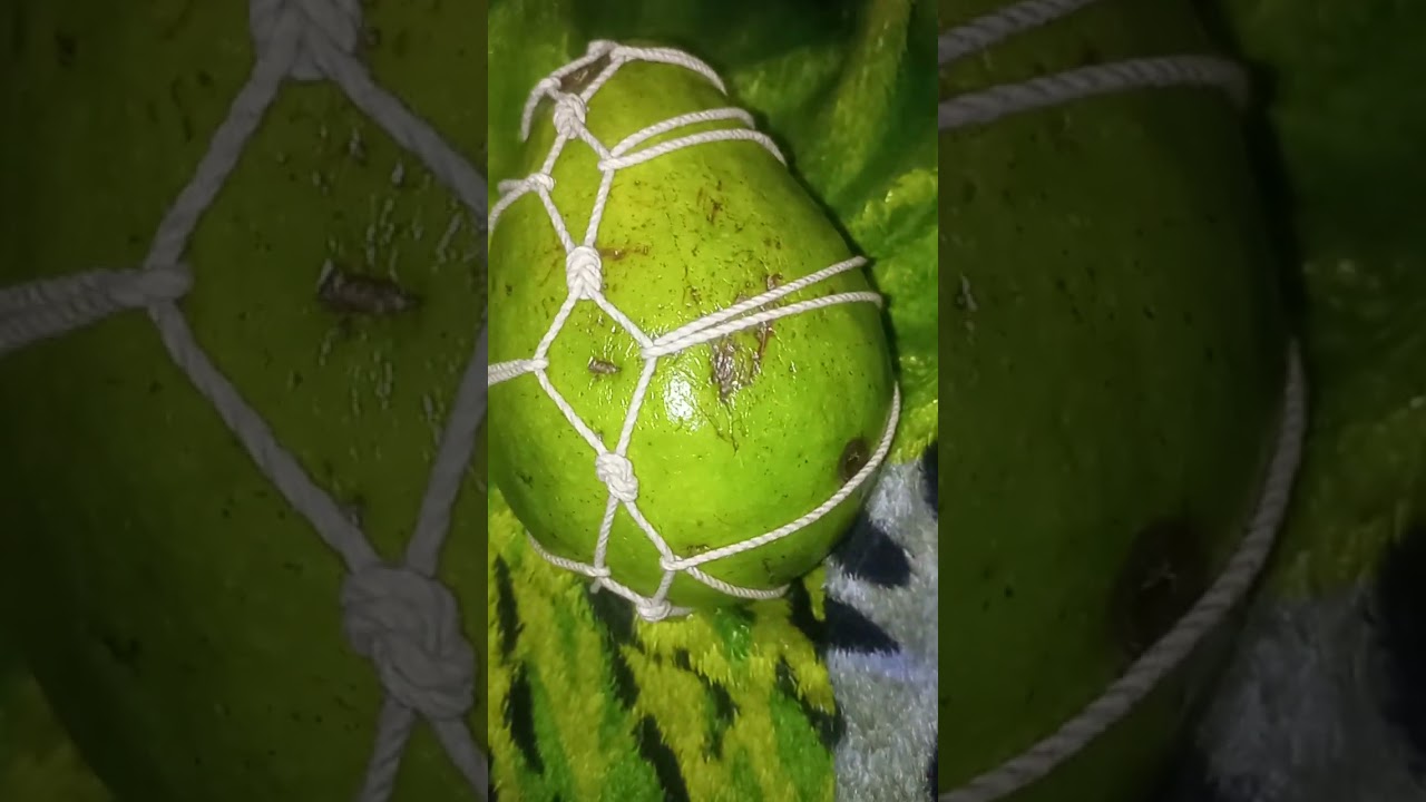 🥑 primero te voy 4tar y luego a c_mer !!!. 
