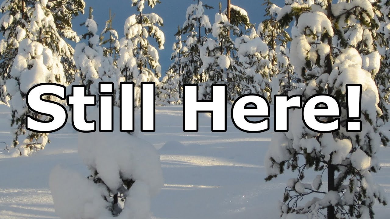 Still Here!
