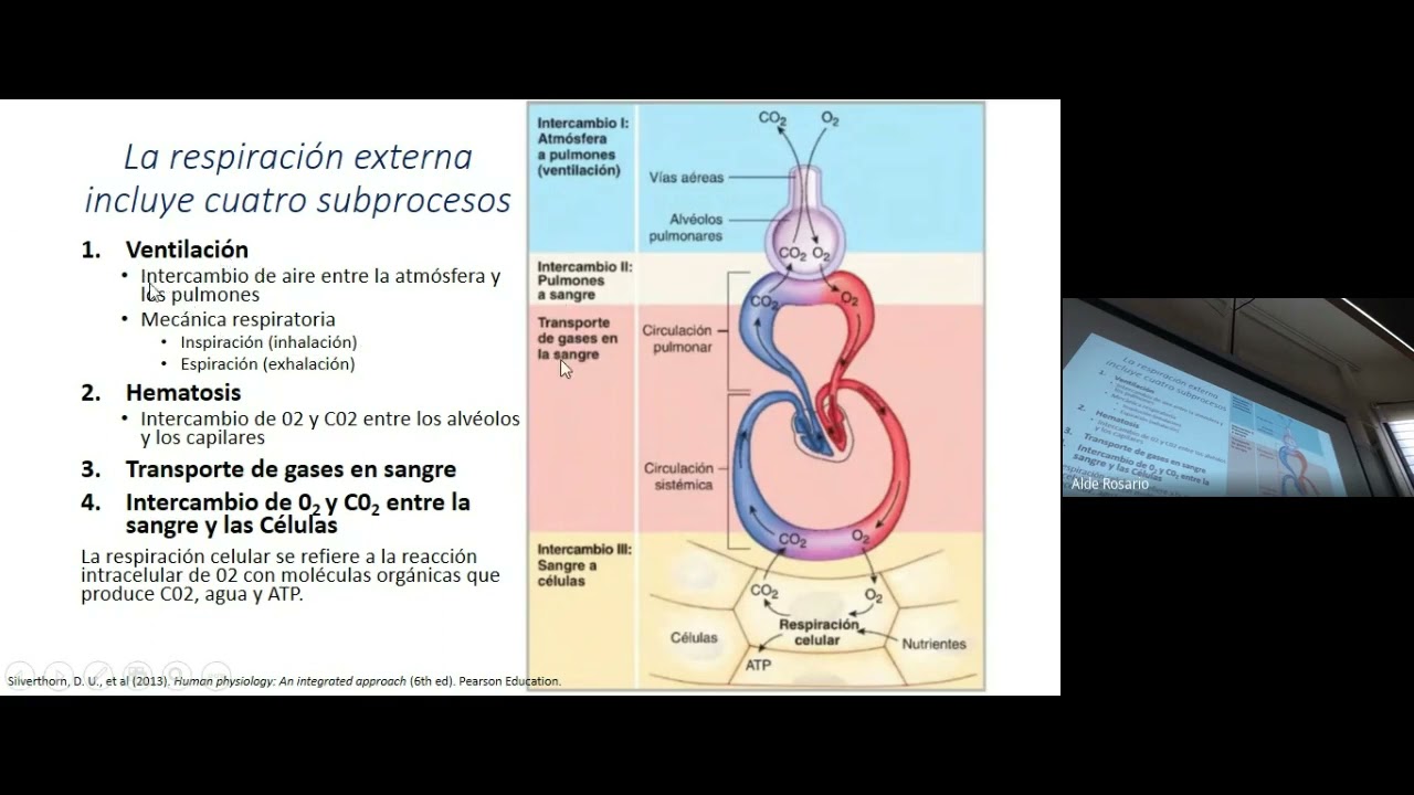 Clase de Repaso TYTL - Fisiología Respiratoria: Mecánica Pulmonar - Prof Guille Grigioni