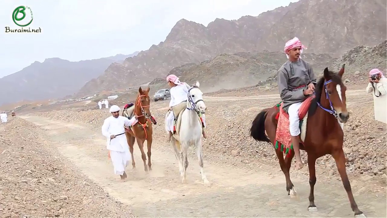 أفراح الرشيدي