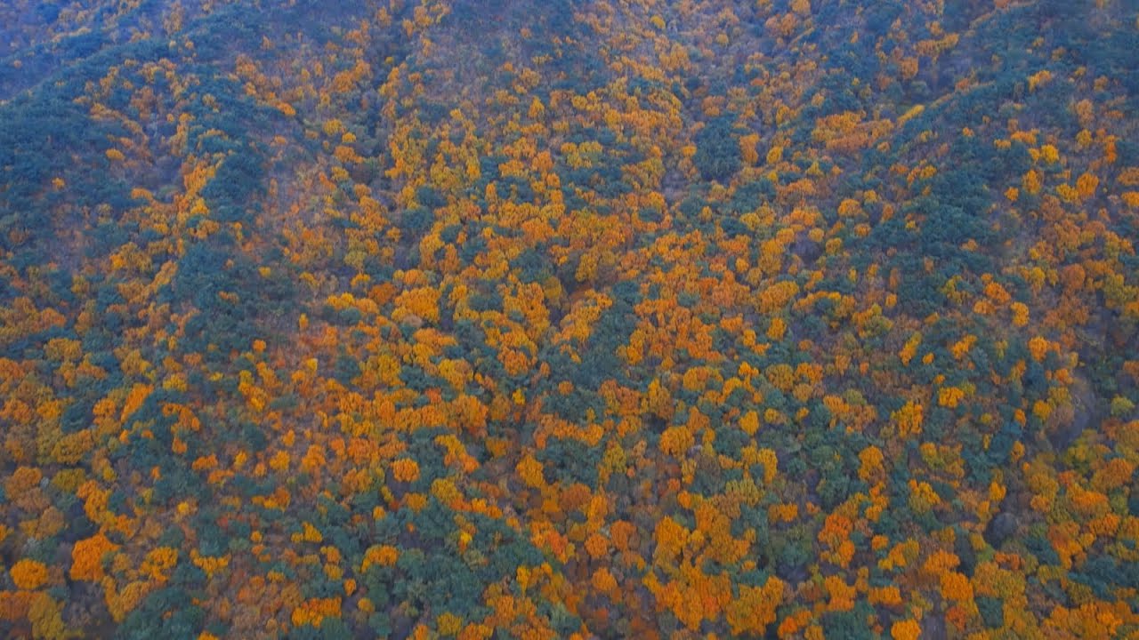 가장 아름다운 가을 시간 속으로.. Korea’s Autumn from Above #가을풍경 #드론 #가야봉 #가야산 #타임랩스 #일출 #일몰