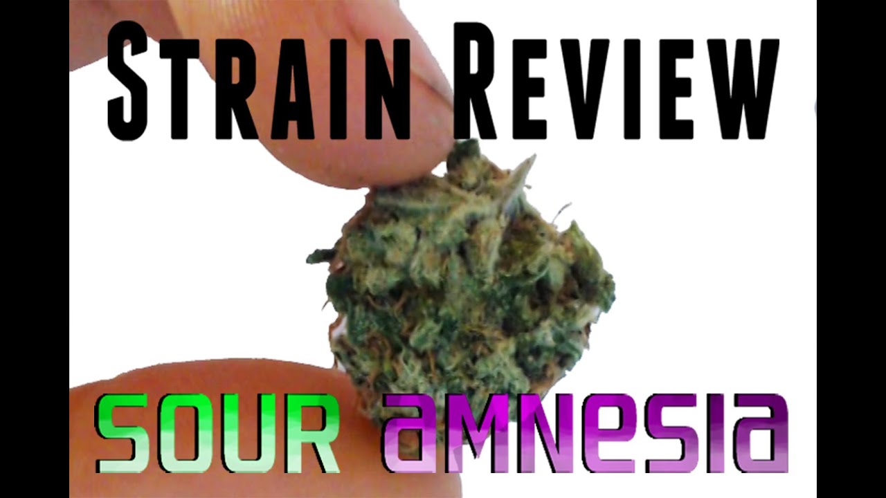 Sour Amnesia || Strain Review & Smoke Session