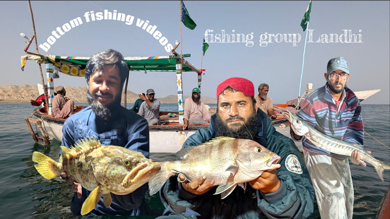 #fishing #video #grouper #fish #haber 🐠🎣🔔🇵