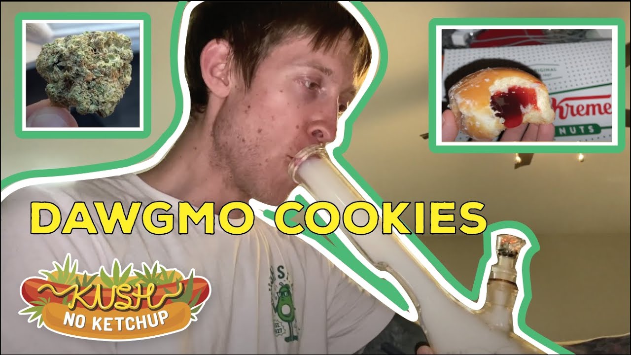 Обзор штамма печенья dawGMO | KUSH NO KETCHUP