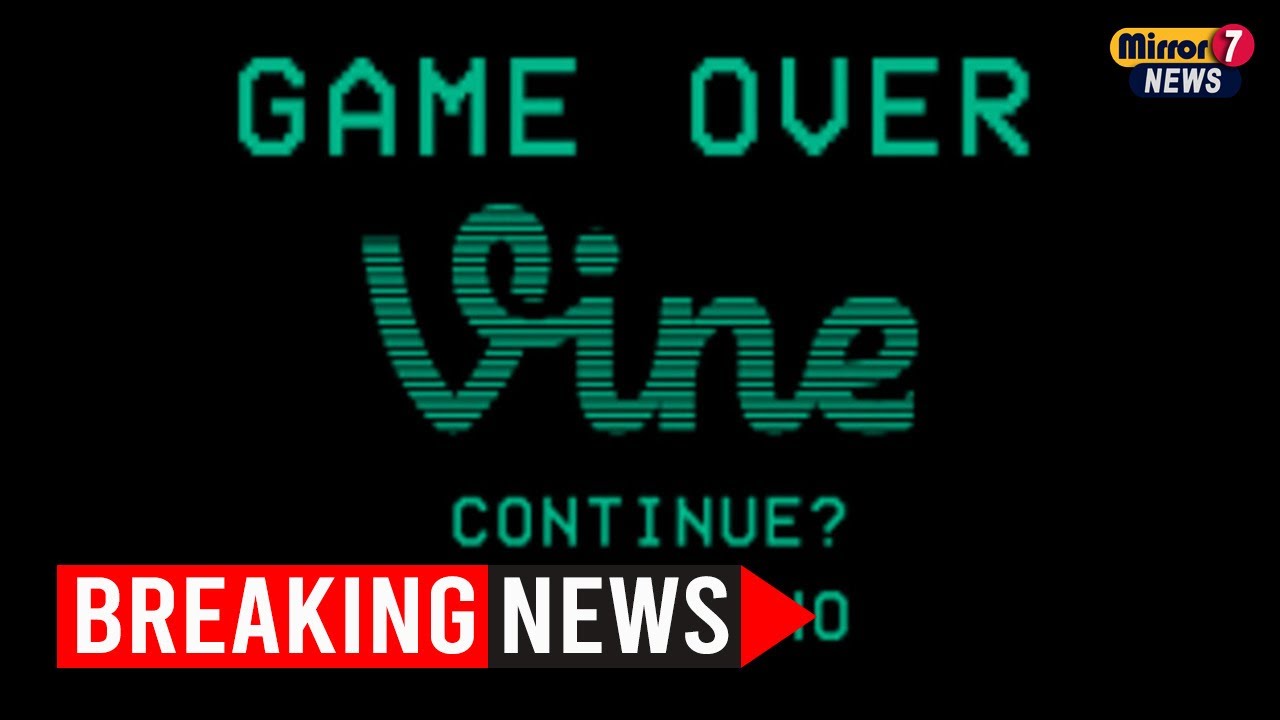 Джек Дорси поддерживает перезагрузку Vine с приложением diVine и видеоархивом