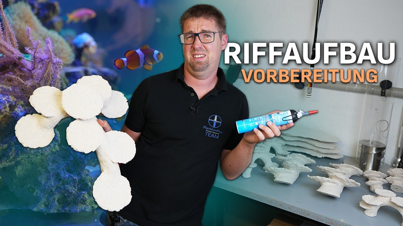 Vorbereitung für den Riffaufbau in Michls Aquarium - PlanktonPlus Aquaristik