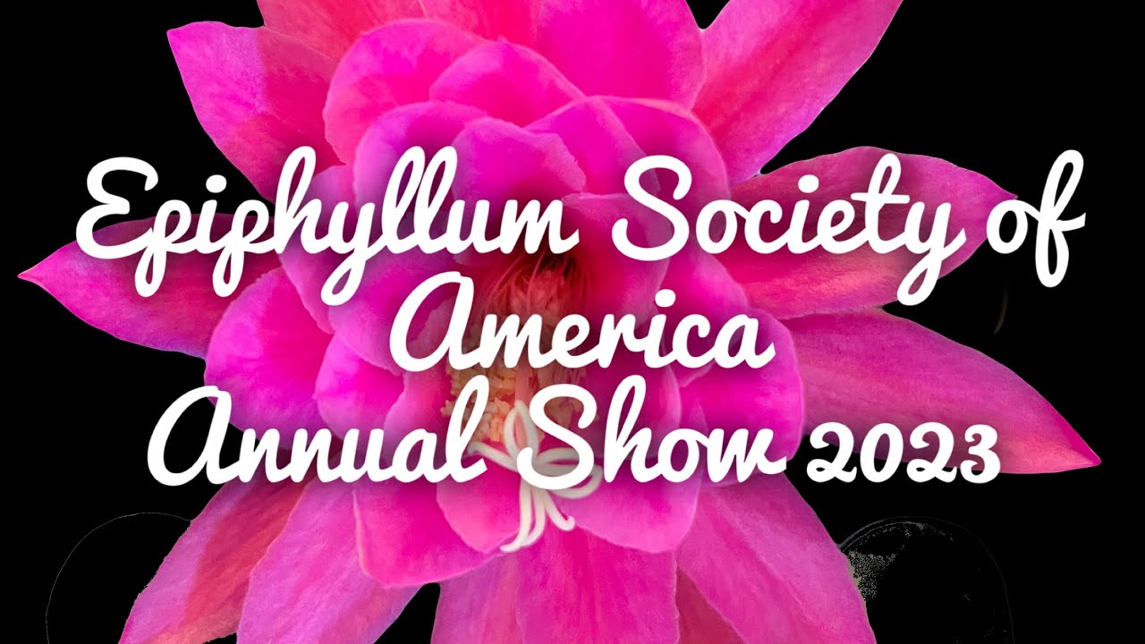 Epiphyllum Society of America Annual Show 2023