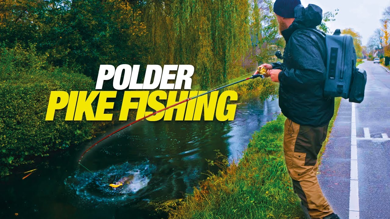 Pike Fishing in Dutch Polders – I-Slide 187R Swimbait Fishing
