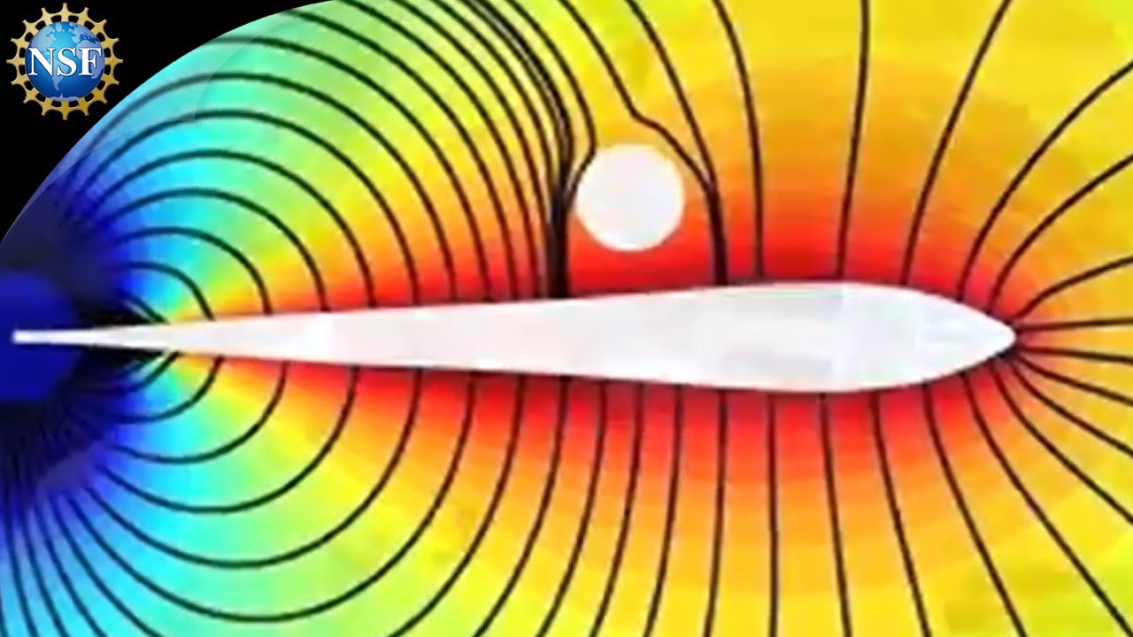 Electric Fish Creates Force Field | Science Nation