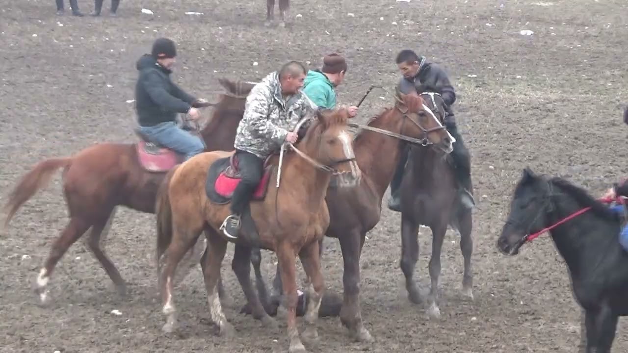 Улак 84-Ысык-Кол ынтымагы #horse #кокбору #лошади #улак #1984 #иссыккуль #sports