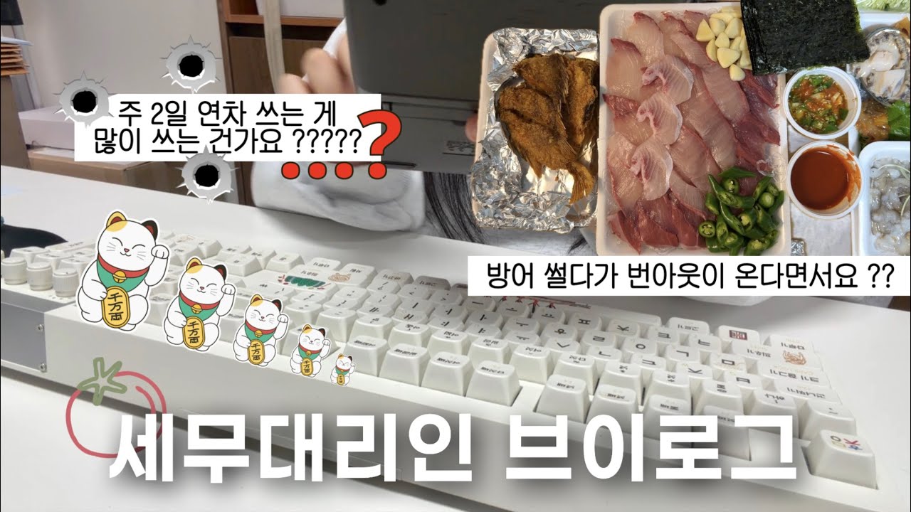[VLOG] 세무대리인 | 연말을 앞둔 세무대리인을 무엇을 할까 | 현기증 날 땐 방어 앞으로 | 직장인 브이로그