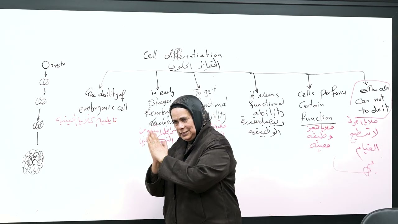 المحاضرة الثانية embryonic 