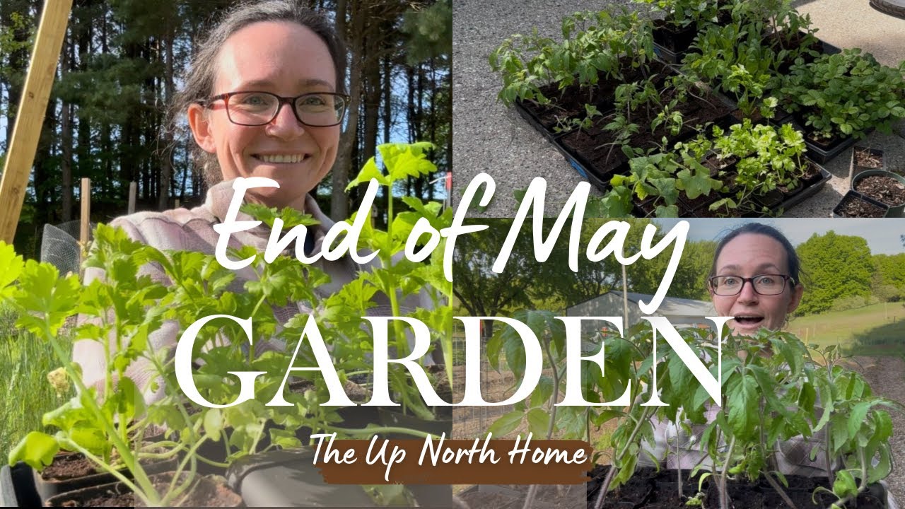 Starting off on the Right Foot | Spring Garden 2025