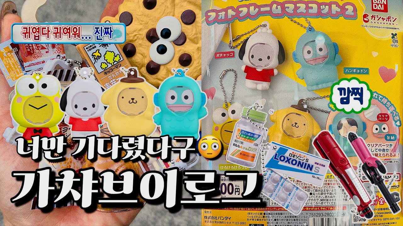 10월 가챠브이로그💖솔직히 이 가챠만 기다림🤩 산리오 포토 프레임 가챠2🧸 비달사순 가챠💇‍♀️ 약 가챠💊