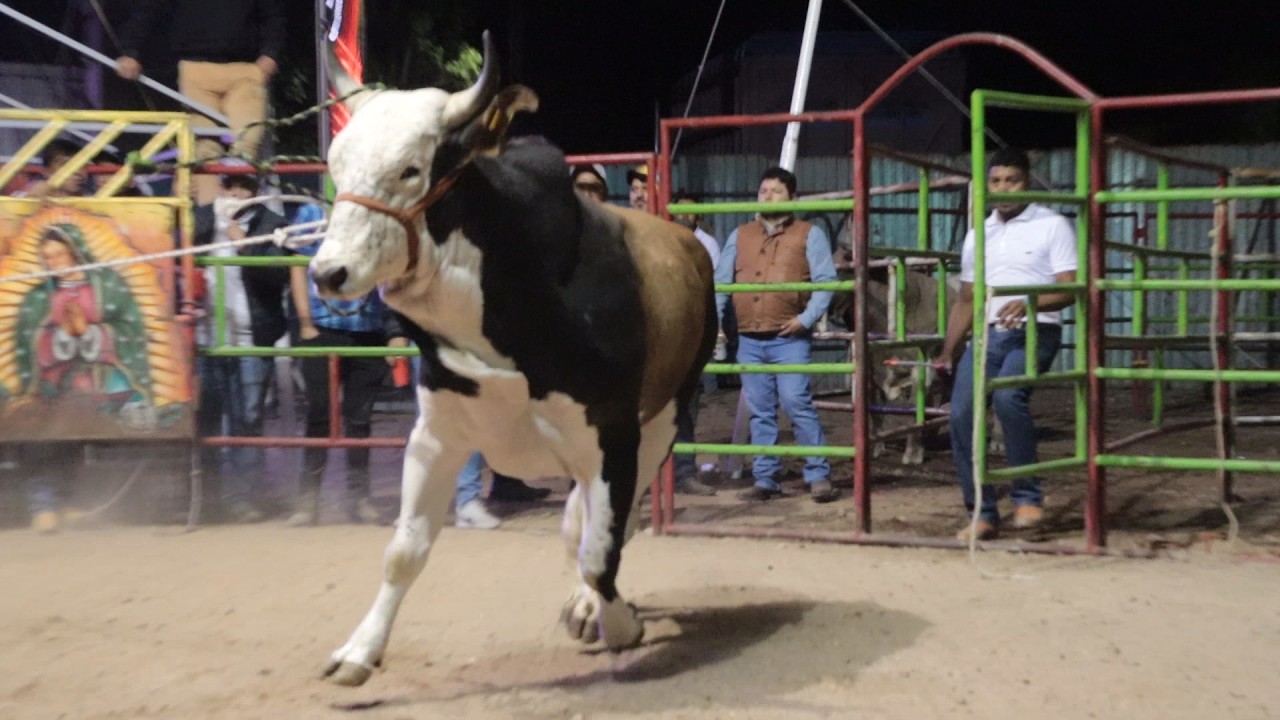 🔴 REYES DE JALISCO vs GANADERÍA LA YURIRENSE en Vivo 🔴 15 febrero 2026 Chilacachapa Gro